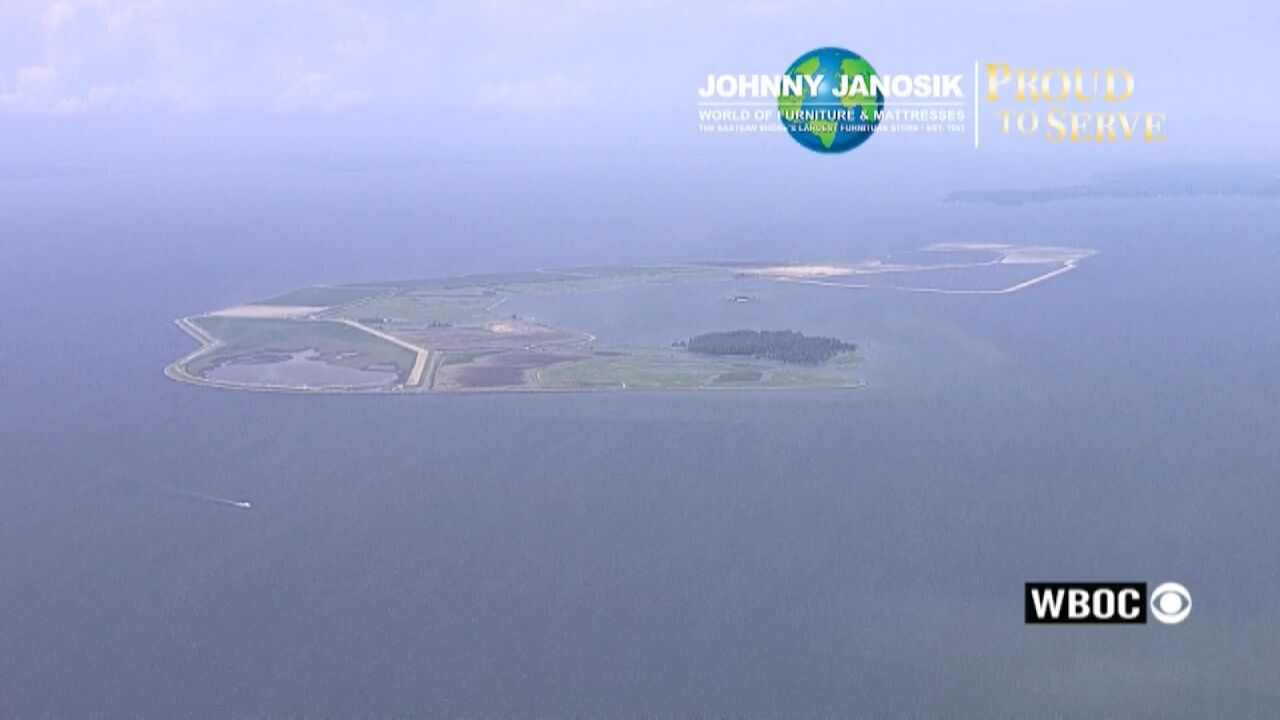 Proud to Serve: Poplar Island